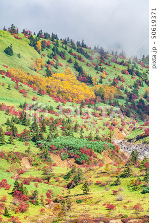 紅葉の志賀高原 50619371