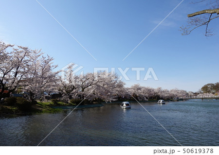 臥竜公園 50619378