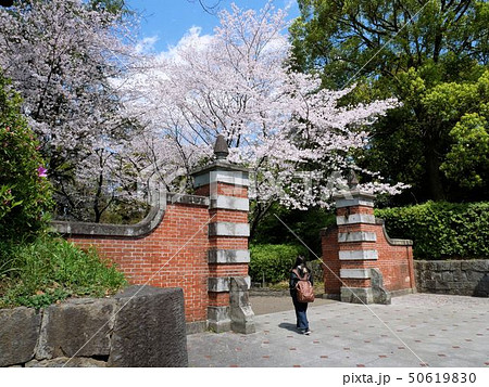 熊本大学黒髪キャンパス 表門 赤門 と桜の写真素材