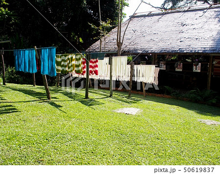 indigo and other natural color dyed yarns hanging indigo and other natural color dyed yarns hanging 50619837