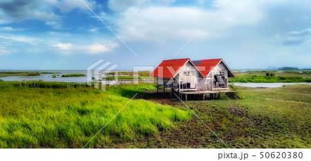 Twin houses by the lake 50620380