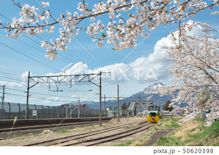 桜咲く福島・川桁駅 50620398