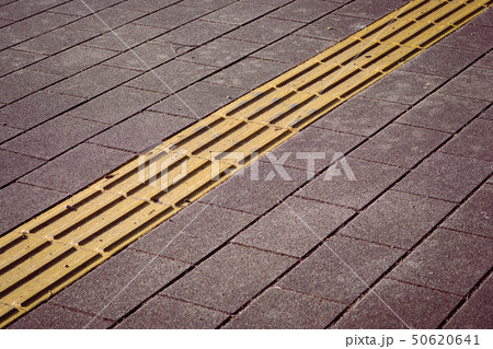 道路に設置された黄色い線状の点字ブロック 50620641