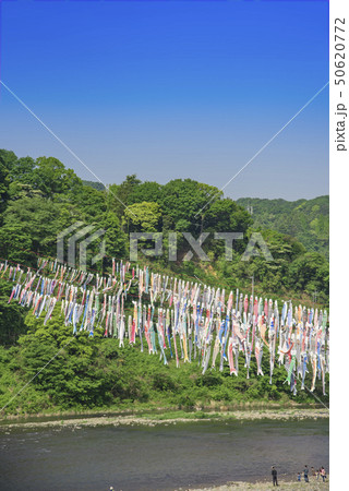 【泳げ鯉のぼり相模川】 50620772