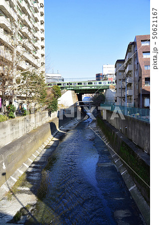 高田馬場付近の神田川 50621167
