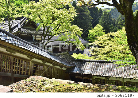 永平寺 永平寺 50621197