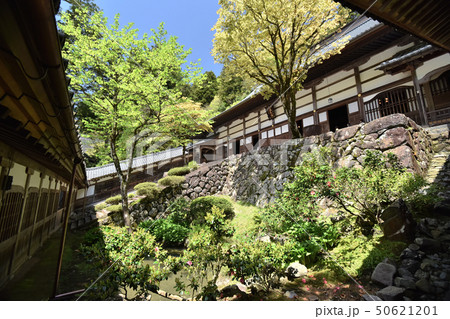 永平寺 50621201