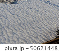 残雪１ 50621448