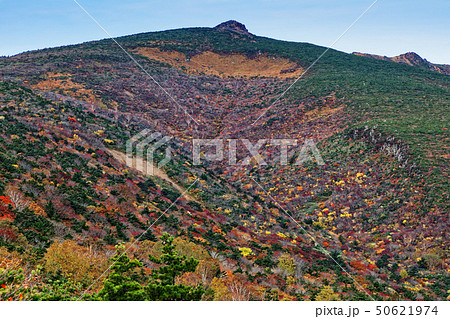 紅葉の安達太良山 紅葉の安達太良山 50621974