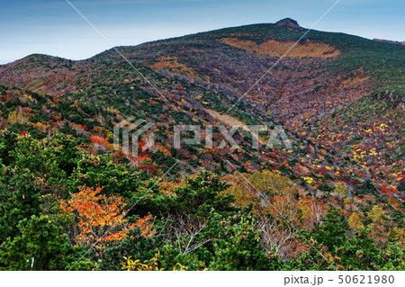 紅葉の安達太良山 紅葉の安達太良山 50621980