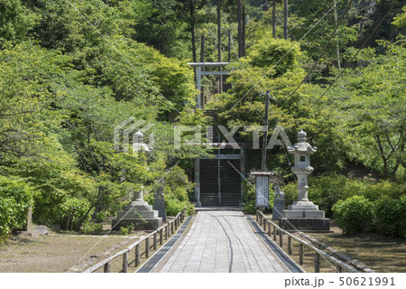 鎌倉半僧坊の参道(鎌倉市山ノ内) 鎌倉半僧坊の参道(鎌倉市山ノ内) 50621991