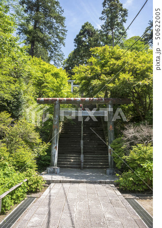 鎌倉半僧坊の参道(鎌倉市山ノ内) 鎌倉半僧坊の参道(鎌倉市山ノ内) 50622005