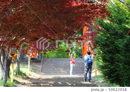 新倉富士浅間神社 50622038