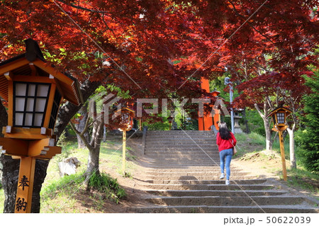 新倉富士浅間神社 50622039