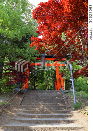新倉富士浅間神社 50622093