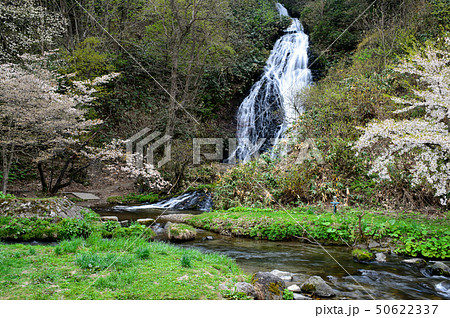 春の七滝 秋田県 春の七滝 秋田県 50622337