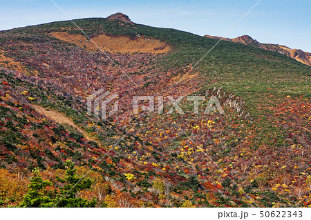 紅葉の安達太良山 紅葉の安達太良山 50622343