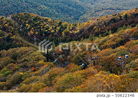 安達太良山中腹の紅葉とロープウェイ 安達太良山中腹の紅葉とロープウェイ 50622346