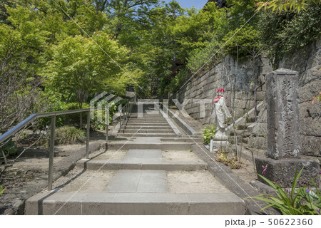 建長寺塔頭 正統院(鎌倉市山ノ内) 建長寺塔頭 正統院(鎌倉市山ノ内) 50622360