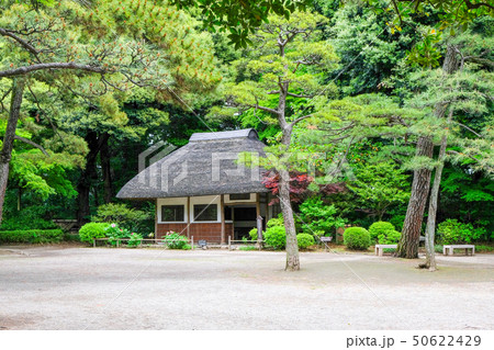小石川後楽園 風景 小石川後楽園 風景 50622429