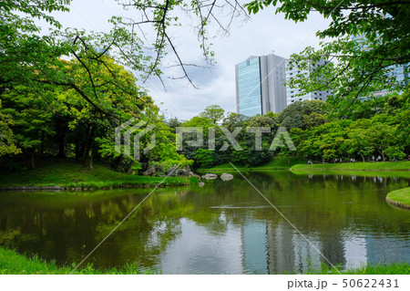 小石川後楽園 小石川後楽園 50622431