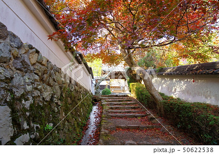 勝持寺(京都) 勝持寺(京都) 50622538