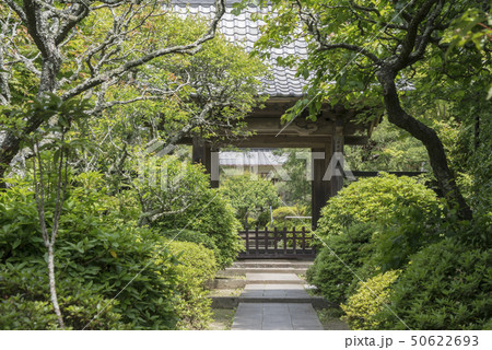 建長寺塔頭　天源院(鎌倉市山ノ内) 50622693