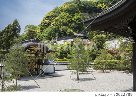 建長寺の唐門(鎌倉市山ノ内) 50622789