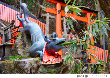 伏見稲荷　眼力社　（京都） 50622861