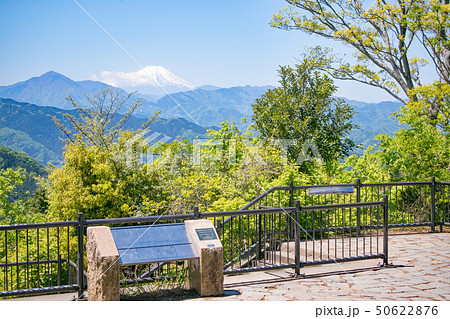 高尾山　山頂　 大見晴台から眺望する富士山　5月初旬 50622876