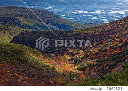 安達太良山の紅葉の山肌と二本松方面の眺め 安達太良山の紅葉の山肌と二本松方面の眺め 50623214