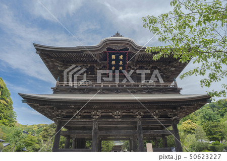 建長寺の仏殿(鎌倉市山ノ内) 50623227