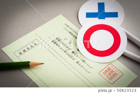 選挙 ○× 投票 投票用紙 選挙 ○× 投票 投票用紙 50623523