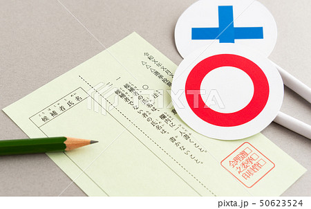 選挙　○×　投票　投票用紙 50623524