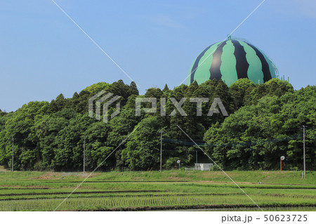 千葉県富里市　風景 50623725