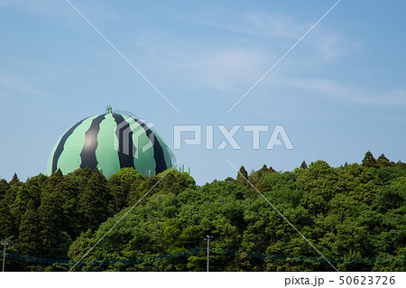 千葉県富里市　風景 50623726