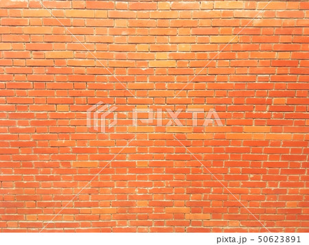 empty brick wall texture background  50623891
