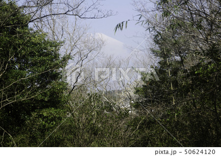 箱根西坂から見た富士山 50624120