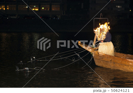 【岐阜県】長良川鵜飼い 【岐阜県】長良川鵜飼い 50624121