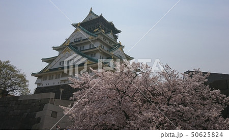 大阪城 桜 50625824