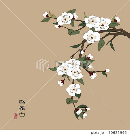 Retro Colorful Chinese Style Vector Illustrationのイラスト素材