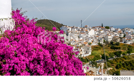 view of frigiliana, pueblo blanco, spain view of frigiliana, pueblo blanco, spain 50626058