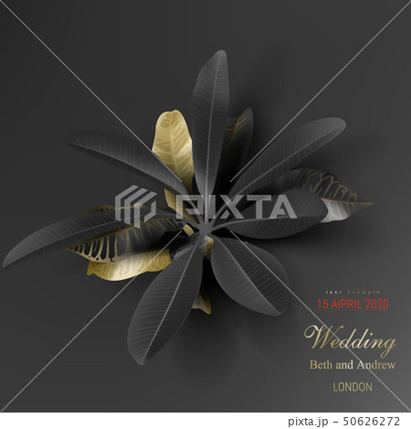 Tropical black and gold leaves on dark background Tropical black and gold leaves on dark background 50626272