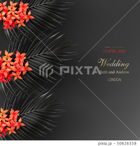 Tropical black leaves and exotic red flower 50626358