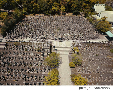 南洲公園上空からの眺め 南洲公園上空からの眺め 50626995