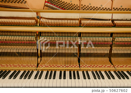 ピアノの中 ピアノの中 50627602