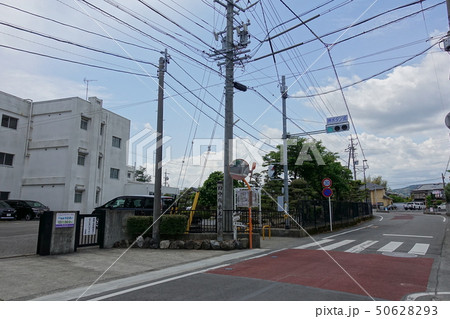 田中城本丸跡（西益津小学校） 50628293