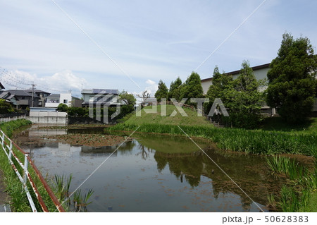 田中城三之堀 50628383