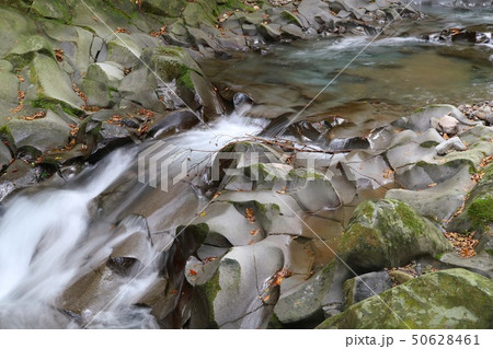 沢の水 滑沢渓谷 天城 沢の水 滑沢渓谷 天城 50628461