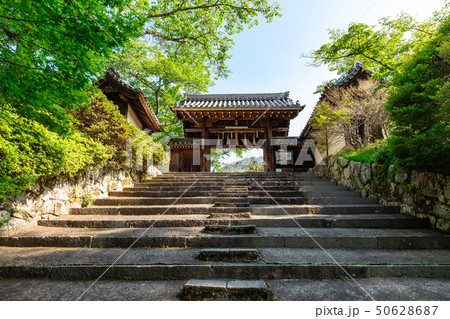 京都 毘沙門堂門跡 薬医門 京都 毘沙門堂門跡 薬医門 50628687